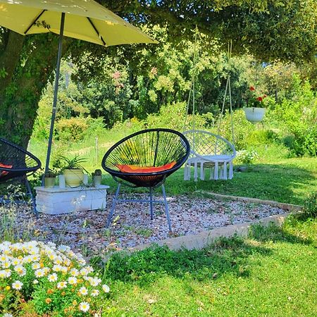 Agriturismo Podere Le Palaie Monterotondo  Eksteriør billede