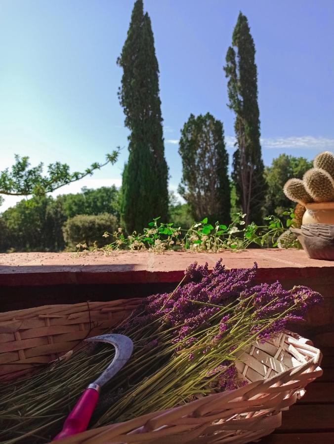 Agriturismo Podere Le Palaie Monterotondo  Eksteriør billede