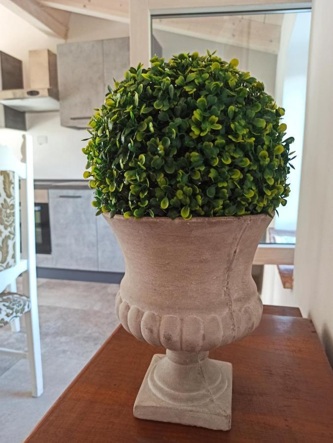 Agriturismo Podere Le Palaie Monterotondo  Eksteriør billede