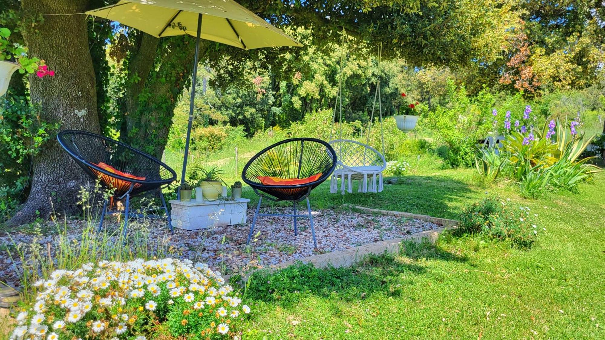 Agriturismo Podere Le Palaie Monterotondo  Eksteriør billede