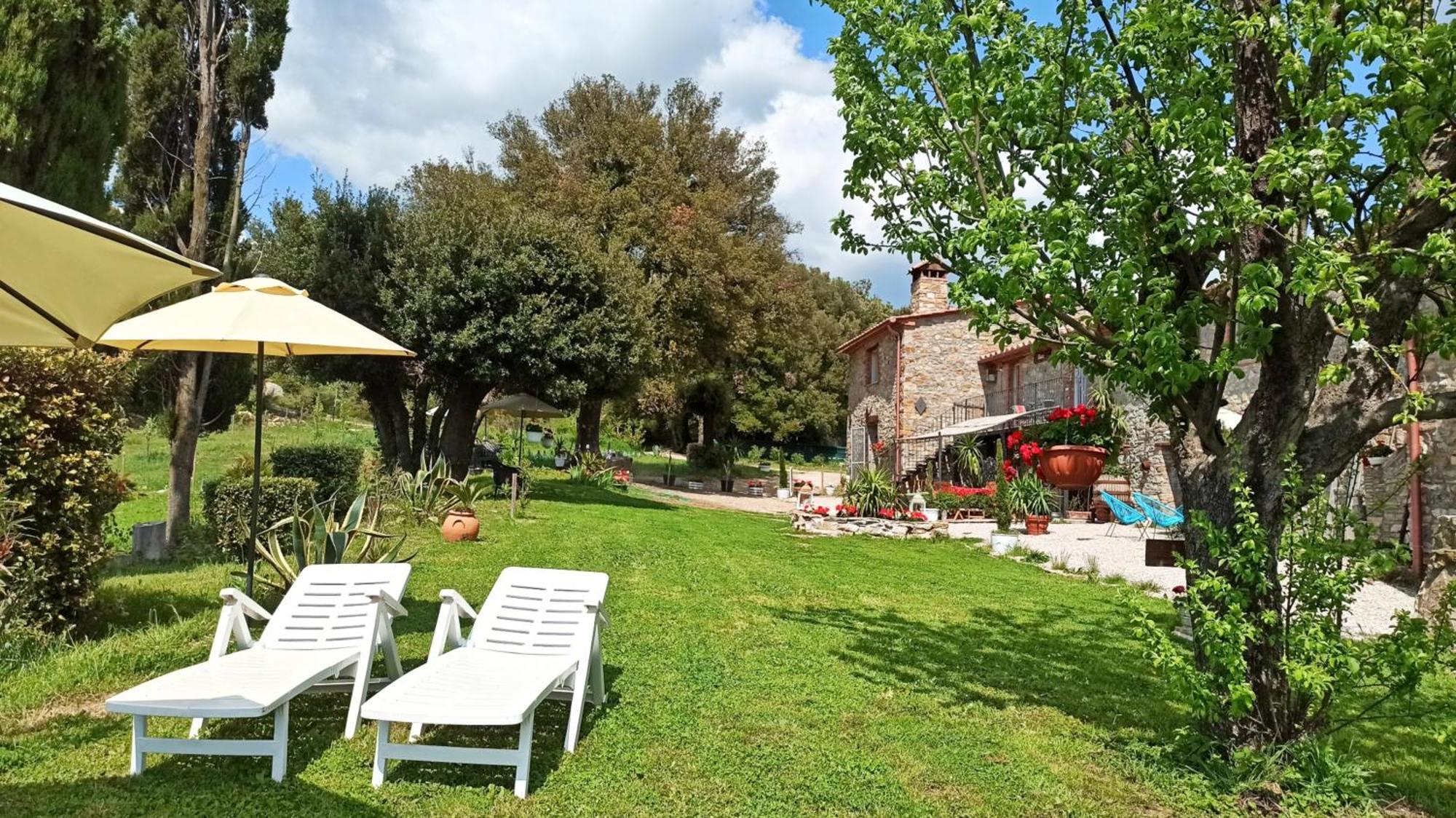 Agriturismo Podere Le Palaie Monterotondo  Værelse billede